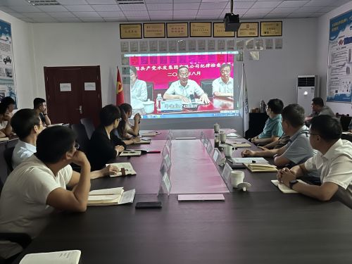 【河海水文】水發(fā)水控集團黨委委員、紀委書記王高升到河海公司全面從嚴治黨、黨風廉政建設專題調(diào)研 (1).jpg